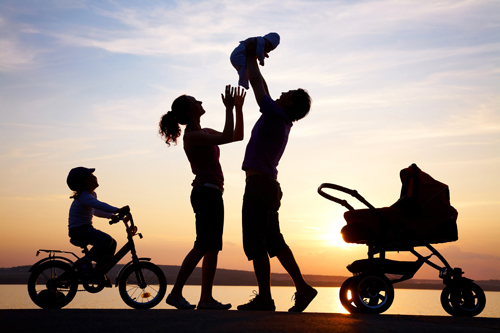 �ܶ������£����������ϵͳ��