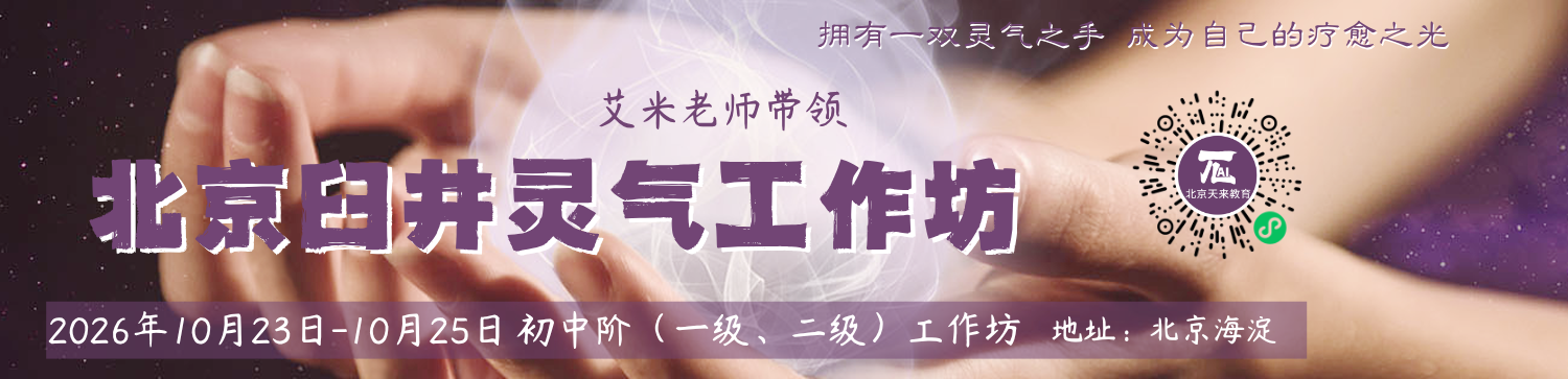 ��������Reiki����������һ����������ѵ��
