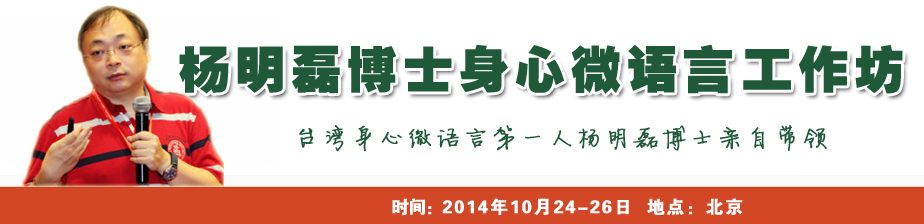 杨明磊博士身心微语言(个案)工作坊
